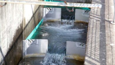 Developed a new technology for the purification of contaminated water from the textile industry