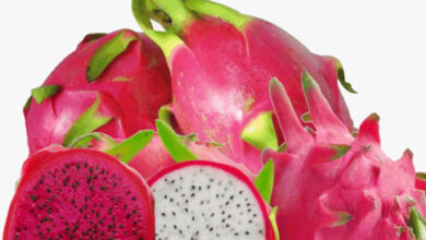 Researchers call dragon fruit a super-food
